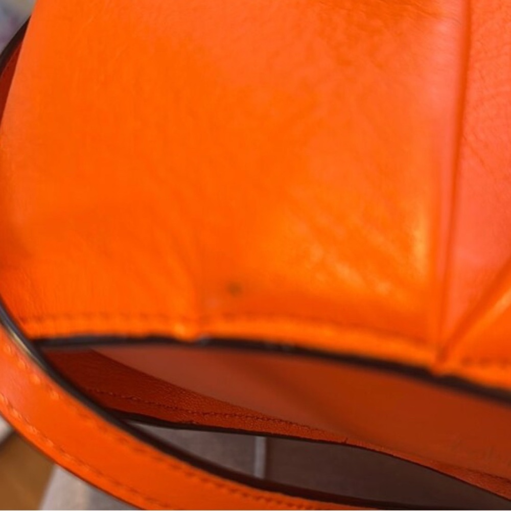 Mini Elephant Calfskin / Leather Crossbody Shoulder Bag in VIVID ORANGE - Picture 12 of 14